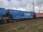 RUMO HTT-351563-0